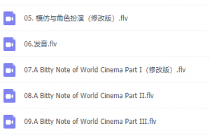 许岑的英语学习方法论,讲义视频教程资源总结网盘下载